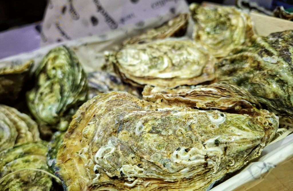 Neptuno, Mariscos frescos del día cerca de Vinaròs. Ostras.